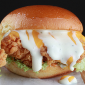 Premium Chicken Burger