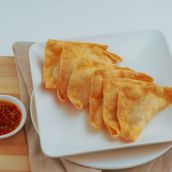 Deep Fried Shrimp & Chicken Wontons