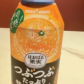 Japanese Drinks
