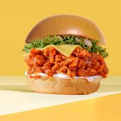 The Nashville Bird Burger