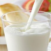 Plain Milk