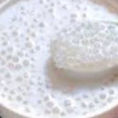 Sago