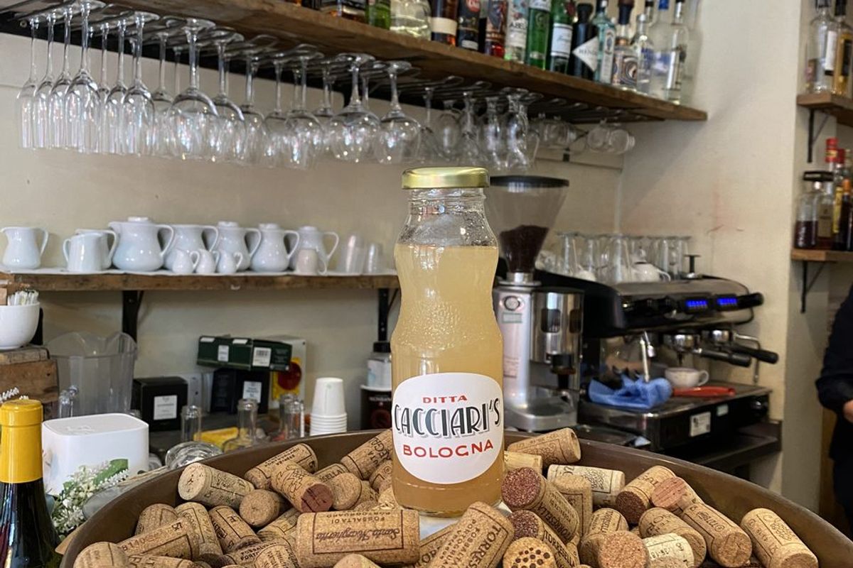 Bellini