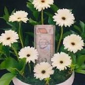 White Gerbera In Round Leather Tray