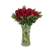 Red Dory Vase