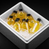 10 Shots Immunity Booster