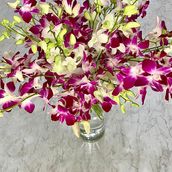 Baby Orchid Bouquet