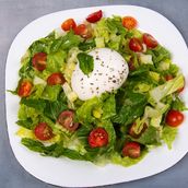 Burrata