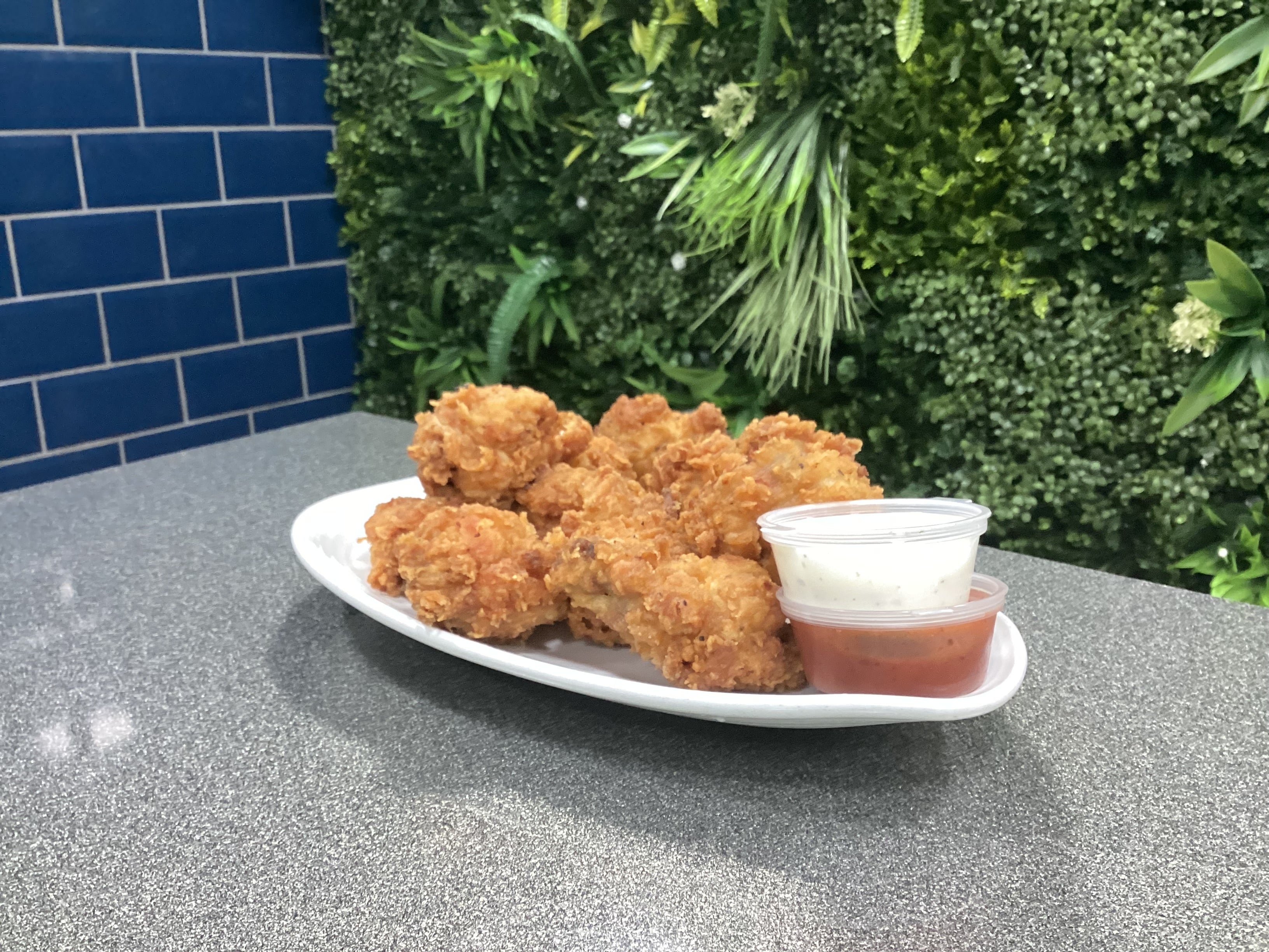 10 pcs fried chicken wings meal