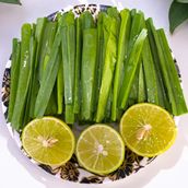 Salad Baghel