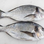 Sea Bream fish (2 Pcs)