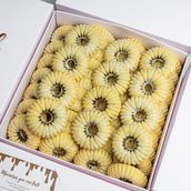 Mamool 40 pcs 