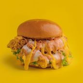 Crispy Chicken Burger