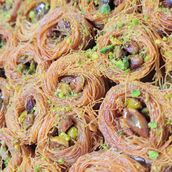 Bird Nest 