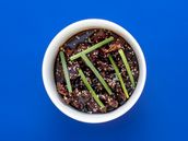 Mongolian Beef