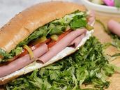 Lanchon with Labneh Jarash