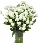 Vase White Baby Flowers 502