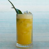 Fresh Pineapple Juice