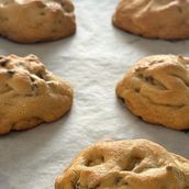 Regular Cookies
