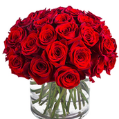 40 Flowers Red Roses Vase