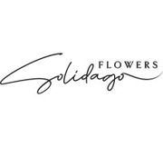 Solidago Flower