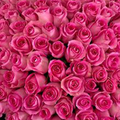 Vip Bouquet