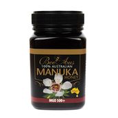 Beeaus Manuka Honey Plus 500 500 Grams