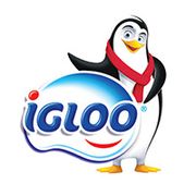 Igloo