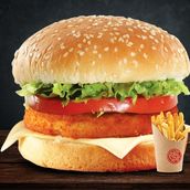 Chicken Burger With Fries 