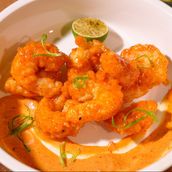 Dynamite Shrimps 