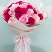 Fuchsia And Light Pink